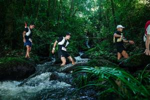 BIB: 
                            <button type="button" onclick="openModal(26773226)" class="btn btn-primary btn-sm float-right btn-popup" data-toggle="modal" data-target=".modal-high-quality">
                        <i class="fas fa-shopping-cart"></i> Add to Cart
                    </button>
                                            <button type="button" onclick="isThisMe(26773226, true)" class="btn btn-success btn-sm float-right btn-popup btn-isme hidden" data-toggle="tooltip" data-placement="bottom" title="นี่คือรูปของคุณใช่ไหม คลิกที่นี่เพื่อเอาเข้าอัลบั้ม">
                        <i class="fas fa-plus"></i> Add to album
                    </button>
                    <button type="button" onclick="isThisMe(26773226, false)" class="btn btn-warning btn-sm float-right btn-popup btn-isnotme hidden">
                        <i class="fas fa-ban"></i> Remove from album
                    </button>