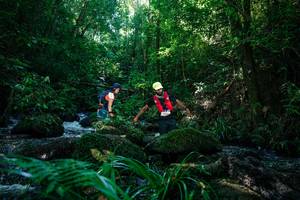 BIB: 
                            <button type="button" onclick="openModal(26772502)" class="btn btn-primary btn-sm float-right btn-popup" data-toggle="modal" data-target=".modal-high-quality">
                        <i class="fas fa-shopping-cart"></i> Add to Cart
                    </button>
                                            <button type="button" onclick="isThisMe(26772502, true)" class="btn btn-success btn-sm float-right btn-popup btn-isme hidden" data-toggle="tooltip" data-placement="bottom" title="นี่คือรูปของคุณใช่ไหม คลิกที่นี่เพื่อเอาเข้าอัลบั้ม">
                        <i class="fas fa-plus"></i> Add to album
                    </button>
                    <button type="button" onclick="isThisMe(26772502, false)" class="btn btn-warning btn-sm float-right btn-popup btn-isnotme hidden">
                        <i class="fas fa-ban"></i> Remove from album
                    </button>