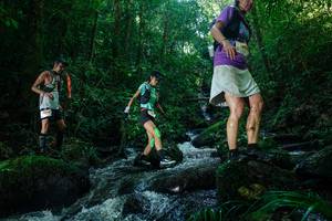 BIB: 
                            <button type="button" onclick="openModal(26774985)" class="btn btn-primary btn-sm float-right btn-popup" data-toggle="modal" data-target=".modal-high-quality">
                        <i class="fas fa-shopping-cart"></i> Add to Cart
                    </button>
                                            <button type="button" onclick="isThisMe(26774985, true)" class="btn btn-success btn-sm float-right btn-popup btn-isme hidden" data-toggle="tooltip" data-placement="bottom" title="นี่คือรูปของคุณใช่ไหม คลิกที่นี่เพื่อเอาเข้าอัลบั้ม">
                        <i class="fas fa-plus"></i> Add to album
                    </button>
                    <button type="button" onclick="isThisMe(26774985, false)" class="btn btn-warning btn-sm float-right btn-popup btn-isnotme hidden">
                        <i class="fas fa-ban"></i> Remove from album
                    </button>