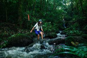 BIB: 
                            <button type="button" onclick="openModal(26774505)" class="btn btn-primary btn-sm float-right btn-popup" data-toggle="modal" data-target=".modal-high-quality">
                        <i class="fas fa-shopping-cart"></i> Add to Cart
                    </button>
                                            <button type="button" onclick="isThisMe(26774505, true)" class="btn btn-success btn-sm float-right btn-popup btn-isme hidden" data-toggle="tooltip" data-placement="bottom" title="นี่คือรูปของคุณใช่ไหม คลิกที่นี่เพื่อเอาเข้าอัลบั้ม">
                        <i class="fas fa-plus"></i> Add to album
                    </button>
                    <button type="button" onclick="isThisMe(26774505, false)" class="btn btn-warning btn-sm float-right btn-popup btn-isnotme hidden">
                        <i class="fas fa-ban"></i> Remove from album
                    </button>