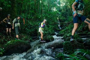 BIB: 
                            <button type="button" onclick="openModal(26780154)" class="btn btn-primary btn-sm float-right btn-popup" data-toggle="modal" data-target=".modal-high-quality">
                        <i class="fas fa-shopping-cart"></i> Add to Cart
                    </button>
                                            <button type="button" onclick="isThisMe(26780154, true)" class="btn btn-success btn-sm float-right btn-popup btn-isme hidden" data-toggle="tooltip" data-placement="bottom" title="นี่คือรูปของคุณใช่ไหม คลิกที่นี่เพื่อเอาเข้าอัลบั้ม">
                        <i class="fas fa-plus"></i> Add to album
                    </button>
                    <button type="button" onclick="isThisMe(26780154, false)" class="btn btn-warning btn-sm float-right btn-popup btn-isnotme hidden">
                        <i class="fas fa-ban"></i> Remove from album
                    </button>