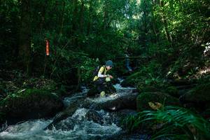 BIB: 
                            <button type="button" onclick="openModal(26699740)" class="btn btn-primary btn-sm float-right btn-popup" data-toggle="modal" data-target=".modal-high-quality">
                        <i class="fas fa-shopping-cart"></i> Add to Cart
                    </button>
                                            <button type="button" onclick="isThisMe(26699740, true)" class="btn btn-success btn-sm float-right btn-popup btn-isme hidden" data-toggle="tooltip" data-placement="bottom" title="นี่คือรูปของคุณใช่ไหม คลิกที่นี่เพื่อเอาเข้าอัลบั้ม">
                        <i class="fas fa-plus"></i> Add to album
                    </button>
                    <button type="button" onclick="isThisMe(26699740, false)" class="btn btn-warning btn-sm float-right btn-popup btn-isnotme hidden">
                        <i class="fas fa-ban"></i> Remove from album
                    </button>