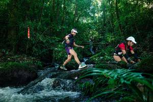 BIB: 
                            <button type="button" onclick="openModal(26772668)" class="btn btn-primary btn-sm float-right btn-popup" data-toggle="modal" data-target=".modal-high-quality">
                        <i class="fas fa-shopping-cart"></i> Add to Cart
                    </button>
                                            <button type="button" onclick="isThisMe(26772668, true)" class="btn btn-success btn-sm float-right btn-popup btn-isme hidden" data-toggle="tooltip" data-placement="bottom" title="นี่คือรูปของคุณใช่ไหม คลิกที่นี่เพื่อเอาเข้าอัลบั้ม">
                        <i class="fas fa-plus"></i> Add to album
                    </button>
                    <button type="button" onclick="isThisMe(26772668, false)" class="btn btn-warning btn-sm float-right btn-popup btn-isnotme hidden">
                        <i class="fas fa-ban"></i> Remove from album
                    </button>