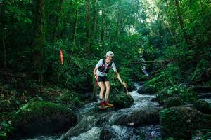 BIB: 
                            <button type="button" onclick="openModal(26780297)" class="btn btn-primary btn-sm float-right btn-popup" data-toggle="modal" data-target=".modal-high-quality">
                        <i class="fas fa-shopping-cart"></i> Add to Cart
                    </button>
                                            <button type="button" onclick="isThisMe(26780297, true)" class="btn btn-success btn-sm float-right btn-popup btn-isme hidden" data-toggle="tooltip" data-placement="bottom" title="นี่คือรูปของคุณใช่ไหม คลิกที่นี่เพื่อเอาเข้าอัลบั้ม">
                        <i class="fas fa-plus"></i> Add to album
                    </button>
                    <button type="button" onclick="isThisMe(26780297, false)" class="btn btn-warning btn-sm float-right btn-popup btn-isnotme hidden">
                        <i class="fas fa-ban"></i> Remove from album
                    </button>