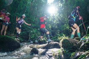 BIB: 
                            <button type="button" onclick="openModal(26775829)" class="btn btn-primary btn-sm float-right btn-popup" data-toggle="modal" data-target=".modal-high-quality">
                        <i class="fas fa-shopping-cart"></i> Add to Cart
                    </button>
                                            <button type="button" onclick="isThisMe(26775829, true)" class="btn btn-success btn-sm float-right btn-popup btn-isme hidden" data-toggle="tooltip" data-placement="bottom" title="นี่คือรูปของคุณใช่ไหม คลิกที่นี่เพื่อเอาเข้าอัลบั้ม">
                        <i class="fas fa-plus"></i> Add to album
                    </button>
                    <button type="button" onclick="isThisMe(26775829, false)" class="btn btn-warning btn-sm float-right btn-popup btn-isnotme hidden">
                        <i class="fas fa-ban"></i> Remove from album
                    </button>