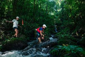 BIB: 
                            <button type="button" onclick="openModal(26701431)" class="btn btn-primary btn-sm float-right btn-popup" data-toggle="modal" data-target=".modal-high-quality">
                        <i class="fas fa-shopping-cart"></i> Add to Cart
                    </button>
                                            <button type="button" onclick="isThisMe(26701431, true)" class="btn btn-success btn-sm float-right btn-popup btn-isme hidden" data-toggle="tooltip" data-placement="bottom" title="นี่คือรูปของคุณใช่ไหม คลิกที่นี่เพื่อเอาเข้าอัลบั้ม">
                        <i class="fas fa-plus"></i> Add to album
                    </button>
                    <button type="button" onclick="isThisMe(26701431, false)" class="btn btn-warning btn-sm float-right btn-popup btn-isnotme hidden">
                        <i class="fas fa-ban"></i> Remove from album
                    </button>