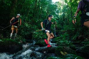 BIB: 
                            <button type="button" onclick="openModal(26774266)" class="btn btn-primary btn-sm float-right btn-popup" data-toggle="modal" data-target=".modal-high-quality">
                        <i class="fas fa-shopping-cart"></i> Add to Cart
                    </button>
                                            <button type="button" onclick="isThisMe(26774266, true)" class="btn btn-success btn-sm float-right btn-popup btn-isme hidden" data-toggle="tooltip" data-placement="bottom" title="นี่คือรูปของคุณใช่ไหม คลิกที่นี่เพื่อเอาเข้าอัลบั้ม">
                        <i class="fas fa-plus"></i> Add to album
                    </button>
                    <button type="button" onclick="isThisMe(26774266, false)" class="btn btn-warning btn-sm float-right btn-popup btn-isnotme hidden">
                        <i class="fas fa-ban"></i> Remove from album
                    </button>