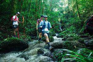 BIB: 
                            <button type="button" onclick="openModal(26780773)" class="btn btn-primary btn-sm float-right btn-popup" data-toggle="modal" data-target=".modal-high-quality">
                        <i class="fas fa-shopping-cart"></i> Add to Cart
                    </button>
                                            <button type="button" onclick="isThisMe(26780773, true)" class="btn btn-success btn-sm float-right btn-popup btn-isme hidden" data-toggle="tooltip" data-placement="bottom" title="นี่คือรูปของคุณใช่ไหม คลิกที่นี่เพื่อเอาเข้าอัลบั้ม">
                        <i class="fas fa-plus"></i> Add to album
                    </button>
                    <button type="button" onclick="isThisMe(26780773, false)" class="btn btn-warning btn-sm float-right btn-popup btn-isnotme hidden">
                        <i class="fas fa-ban"></i> Remove from album
                    </button>