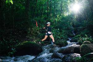 BIB: 
                            <button type="button" onclick="openModal(26777468)" class="btn btn-primary btn-sm float-right btn-popup" data-toggle="modal" data-target=".modal-high-quality">
                        <i class="fas fa-shopping-cart"></i> Add to Cart
                    </button>
                                            <button type="button" onclick="isThisMe(26777468, true)" class="btn btn-success btn-sm float-right btn-popup btn-isme hidden" data-toggle="tooltip" data-placement="bottom" title="นี่คือรูปของคุณใช่ไหม คลิกที่นี่เพื่อเอาเข้าอัลบั้ม">
                        <i class="fas fa-plus"></i> Add to album
                    </button>
                    <button type="button" onclick="isThisMe(26777468, false)" class="btn btn-warning btn-sm float-right btn-popup btn-isnotme hidden">
                        <i class="fas fa-ban"></i> Remove from album
                    </button>