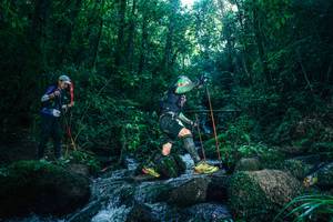 BIB: 
                            <button type="button" onclick="openModal(26779695)" class="btn btn-primary btn-sm float-right btn-popup" data-toggle="modal" data-target=".modal-high-quality">
                        <i class="fas fa-shopping-cart"></i> Add to Cart
                    </button>
                                            <button type="button" onclick="isThisMe(26779695, true)" class="btn btn-success btn-sm float-right btn-popup btn-isme hidden" data-toggle="tooltip" data-placement="bottom" title="นี่คือรูปของคุณใช่ไหม คลิกที่นี่เพื่อเอาเข้าอัลบั้ม">
                        <i class="fas fa-plus"></i> Add to album
                    </button>
                    <button type="button" onclick="isThisMe(26779695, false)" class="btn btn-warning btn-sm float-right btn-popup btn-isnotme hidden">
                        <i class="fas fa-ban"></i> Remove from album
                    </button>