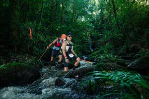 BIB: 
                            <button type="button" onclick="openModal(26774466)" class="btn btn-primary btn-sm float-right btn-popup" data-toggle="modal" data-target=".modal-high-quality">
                        <i class="fas fa-shopping-cart"></i> Add to Cart
                    </button>
                                            <button type="button" onclick="isThisMe(26774466, true)" class="btn btn-success btn-sm float-right btn-popup btn-isme hidden" data-toggle="tooltip" data-placement="bottom" title="นี่คือรูปของคุณใช่ไหม คลิกที่นี่เพื่อเอาเข้าอัลบั้ม">
                        <i class="fas fa-plus"></i> Add to album
                    </button>
                    <button type="button" onclick="isThisMe(26774466, false)" class="btn btn-warning btn-sm float-right btn-popup btn-isnotme hidden">
                        <i class="fas fa-ban"></i> Remove from album
                    </button>