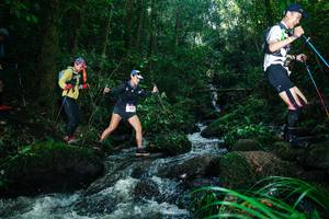 BIB: 
                            <button type="button" onclick="openModal(26780389)" class="btn btn-primary btn-sm float-right btn-popup" data-toggle="modal" data-target=".modal-high-quality">
                        <i class="fas fa-shopping-cart"></i> Add to Cart
                    </button>
                                            <button type="button" onclick="isThisMe(26780389, true)" class="btn btn-success btn-sm float-right btn-popup btn-isme hidden" data-toggle="tooltip" data-placement="bottom" title="นี่คือรูปของคุณใช่ไหม คลิกที่นี่เพื่อเอาเข้าอัลบั้ม">
                        <i class="fas fa-plus"></i> Add to album
                    </button>
                    <button type="button" onclick="isThisMe(26780389, false)" class="btn btn-warning btn-sm float-right btn-popup btn-isnotme hidden">
                        <i class="fas fa-ban"></i> Remove from album
                    </button>