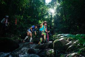 BIB: 
                            <button type="button" onclick="openModal(26776275)" class="btn btn-primary btn-sm float-right btn-popup" data-toggle="modal" data-target=".modal-high-quality">
                        <i class="fas fa-shopping-cart"></i> Add to Cart
                    </button>
                                            <button type="button" onclick="isThisMe(26776275, true)" class="btn btn-success btn-sm float-right btn-popup btn-isme hidden" data-toggle="tooltip" data-placement="bottom" title="นี่คือรูปของคุณใช่ไหม คลิกที่นี่เพื่อเอาเข้าอัลบั้ม">
                        <i class="fas fa-plus"></i> Add to album
                    </button>
                    <button type="button" onclick="isThisMe(26776275, false)" class="btn btn-warning btn-sm float-right btn-popup btn-isnotme hidden">
                        <i class="fas fa-ban"></i> Remove from album
                    </button>