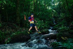 BIB: 
                            <button type="button" onclick="openModal(26773489)" class="btn btn-primary btn-sm float-right btn-popup" data-toggle="modal" data-target=".modal-high-quality">
                        <i class="fas fa-shopping-cart"></i> Add to Cart
                    </button>
                                            <button type="button" onclick="isThisMe(26773489, true)" class="btn btn-success btn-sm float-right btn-popup btn-isme hidden" data-toggle="tooltip" data-placement="bottom" title="นี่คือรูปของคุณใช่ไหม คลิกที่นี่เพื่อเอาเข้าอัลบั้ม">
                        <i class="fas fa-plus"></i> Add to album
                    </button>
                    <button type="button" onclick="isThisMe(26773489, false)" class="btn btn-warning btn-sm float-right btn-popup btn-isnotme hidden">
                        <i class="fas fa-ban"></i> Remove from album
                    </button>