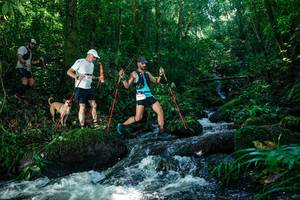 BIB: 
                            <button type="button" onclick="openModal(26756116)" class="btn btn-primary btn-sm float-right btn-popup" data-toggle="modal" data-target=".modal-high-quality">
                        <i class="fas fa-shopping-cart"></i> Add to Cart
                    </button>
                                            <button type="button" onclick="isThisMe(26756116, true)" class="btn btn-success btn-sm float-right btn-popup btn-isme hidden" data-toggle="tooltip" data-placement="bottom" title="นี่คือรูปของคุณใช่ไหม คลิกที่นี่เพื่อเอาเข้าอัลบั้ม">
                        <i class="fas fa-plus"></i> Add to album
                    </button>
                    <button type="button" onclick="isThisMe(26756116, false)" class="btn btn-warning btn-sm float-right btn-popup btn-isnotme hidden">
                        <i class="fas fa-ban"></i> Remove from album
                    </button>