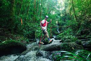 BIB: 
                            <button type="button" onclick="openModal(26780783)" class="btn btn-primary btn-sm float-right btn-popup" data-toggle="modal" data-target=".modal-high-quality">
                        <i class="fas fa-shopping-cart"></i> Add to Cart
                    </button>
                                            <button type="button" onclick="isThisMe(26780783, true)" class="btn btn-success btn-sm float-right btn-popup btn-isme hidden" data-toggle="tooltip" data-placement="bottom" title="นี่คือรูปของคุณใช่ไหม คลิกที่นี่เพื่อเอาเข้าอัลบั้ม">
                        <i class="fas fa-plus"></i> Add to album
                    </button>
                    <button type="button" onclick="isThisMe(26780783, false)" class="btn btn-warning btn-sm float-right btn-popup btn-isnotme hidden">
                        <i class="fas fa-ban"></i> Remove from album
                    </button>