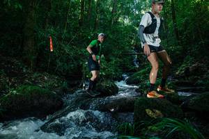 BIB: 
                            <button type="button" onclick="openModal(26773436)" class="btn btn-primary btn-sm float-right btn-popup" data-toggle="modal" data-target=".modal-high-quality">
                        <i class="fas fa-shopping-cart"></i> Add to Cart
                    </button>
                                            <button type="button" onclick="isThisMe(26773436, true)" class="btn btn-success btn-sm float-right btn-popup btn-isme hidden" data-toggle="tooltip" data-placement="bottom" title="นี่คือรูปของคุณใช่ไหม คลิกที่นี่เพื่อเอาเข้าอัลบั้ม">
                        <i class="fas fa-plus"></i> Add to album
                    </button>
                    <button type="button" onclick="isThisMe(26773436, false)" class="btn btn-warning btn-sm float-right btn-popup btn-isnotme hidden">
                        <i class="fas fa-ban"></i> Remove from album
                    </button>