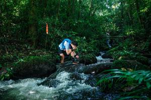 BIB: 
                            <button type="button" onclick="openModal(26772555)" class="btn btn-primary btn-sm float-right btn-popup" data-toggle="modal" data-target=".modal-high-quality">
                        <i class="fas fa-shopping-cart"></i> Add to Cart
                    </button>
                                            <button type="button" onclick="isThisMe(26772555, true)" class="btn btn-success btn-sm float-right btn-popup btn-isme hidden" data-toggle="tooltip" data-placement="bottom" title="นี่คือรูปของคุณใช่ไหม คลิกที่นี่เพื่อเอาเข้าอัลบั้ม">
                        <i class="fas fa-plus"></i> Add to album
                    </button>
                    <button type="button" onclick="isThisMe(26772555, false)" class="btn btn-warning btn-sm float-right btn-popup btn-isnotme hidden">
                        <i class="fas fa-ban"></i> Remove from album
                    </button>