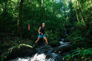 BIB: 
                            <button type="button" onclick="openModal(26697238)" class="btn btn-primary btn-sm float-right btn-popup" data-toggle="modal" data-target=".modal-high-quality">
                        <i class="fas fa-shopping-cart"></i> Add to Cart
                    </button>
                                            <button type="button" onclick="isThisMe(26697238, true)" class="btn btn-success btn-sm float-right btn-popup btn-isme hidden" data-toggle="tooltip" data-placement="bottom" title="นี่คือรูปของคุณใช่ไหม คลิกที่นี่เพื่อเอาเข้าอัลบั้ม">
                        <i class="fas fa-plus"></i> Add to album
                    </button>
                    <button type="button" onclick="isThisMe(26697238, false)" class="btn btn-warning btn-sm float-right btn-popup btn-isnotme hidden">
                        <i class="fas fa-ban"></i> Remove from album
                    </button>