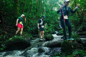 BIB: 
                            <button type="button" onclick="openModal(26780659)" class="btn btn-primary btn-sm float-right btn-popup" data-toggle="modal" data-target=".modal-high-quality">
                        <i class="fas fa-shopping-cart"></i> Add to Cart
                    </button>
                                            <button type="button" onclick="isThisMe(26780659, true)" class="btn btn-success btn-sm float-right btn-popup btn-isme hidden" data-toggle="tooltip" data-placement="bottom" title="นี่คือรูปของคุณใช่ไหม คลิกที่นี่เพื่อเอาเข้าอัลบั้ม">
                        <i class="fas fa-plus"></i> Add to album
                    </button>
                    <button type="button" onclick="isThisMe(26780659, false)" class="btn btn-warning btn-sm float-right btn-popup btn-isnotme hidden">
                        <i class="fas fa-ban"></i> Remove from album
                    </button>