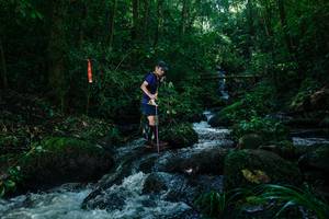 BIB: 
                            <button type="button" onclick="openModal(26773395)" class="btn btn-primary btn-sm float-right btn-popup" data-toggle="modal" data-target=".modal-high-quality">
                        <i class="fas fa-shopping-cart"></i> Add to Cart
                    </button>
                                            <button type="button" onclick="isThisMe(26773395, true)" class="btn btn-success btn-sm float-right btn-popup btn-isme hidden" data-toggle="tooltip" data-placement="bottom" title="นี่คือรูปของคุณใช่ไหม คลิกที่นี่เพื่อเอาเข้าอัลบั้ม">
                        <i class="fas fa-plus"></i> Add to album
                    </button>
                    <button type="button" onclick="isThisMe(26773395, false)" class="btn btn-warning btn-sm float-right btn-popup btn-isnotme hidden">
                        <i class="fas fa-ban"></i> Remove from album
                    </button>