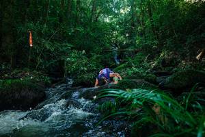 BIB: 
                            <button type="button" onclick="openModal(26772888)" class="btn btn-primary btn-sm float-right btn-popup" data-toggle="modal" data-target=".modal-high-quality">
                        <i class="fas fa-shopping-cart"></i> Add to Cart
                    </button>
                                            <button type="button" onclick="isThisMe(26772888, true)" class="btn btn-success btn-sm float-right btn-popup btn-isme hidden" data-toggle="tooltip" data-placement="bottom" title="นี่คือรูปของคุณใช่ไหม คลิกที่นี่เพื่อเอาเข้าอัลบั้ม">
                        <i class="fas fa-plus"></i> Add to album
                    </button>
                    <button type="button" onclick="isThisMe(26772888, false)" class="btn btn-warning btn-sm float-right btn-popup btn-isnotme hidden">
                        <i class="fas fa-ban"></i> Remove from album
                    </button>