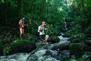 BIB: 
                            <button type="button" onclick="openModal(26780324)" class="btn btn-primary btn-sm float-right btn-popup" data-toggle="modal" data-target=".modal-high-quality">
                        <i class="fas fa-shopping-cart"></i> Add to Cart
                    </button>
                                            <button type="button" onclick="isThisMe(26780324, true)" class="btn btn-success btn-sm float-right btn-popup btn-isme hidden" data-toggle="tooltip" data-placement="bottom" title="นี่คือรูปของคุณใช่ไหม คลิกที่นี่เพื่อเอาเข้าอัลบั้ม">
                        <i class="fas fa-plus"></i> Add to album
                    </button>
                    <button type="button" onclick="isThisMe(26780324, false)" class="btn btn-warning btn-sm float-right btn-popup btn-isnotme hidden">
                        <i class="fas fa-ban"></i> Remove from album
                    </button>