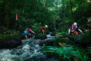 BIB: 
                            <button type="button" onclick="openModal(26772488)" class="btn btn-primary btn-sm float-right btn-popup" data-toggle="modal" data-target=".modal-high-quality">
                        <i class="fas fa-shopping-cart"></i> Add to Cart
                    </button>
                                            <button type="button" onclick="isThisMe(26772488, true)" class="btn btn-success btn-sm float-right btn-popup btn-isme hidden" data-toggle="tooltip" data-placement="bottom" title="นี่คือรูปของคุณใช่ไหม คลิกที่นี่เพื่อเอาเข้าอัลบั้ม">
                        <i class="fas fa-plus"></i> Add to album
                    </button>
                    <button type="button" onclick="isThisMe(26772488, false)" class="btn btn-warning btn-sm float-right btn-popup btn-isnotme hidden">
                        <i class="fas fa-ban"></i> Remove from album
                    </button>