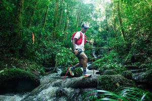 BIB: 
                            <button type="button" onclick="openModal(26780786)" class="btn btn-primary btn-sm float-right btn-popup" data-toggle="modal" data-target=".modal-high-quality">
                        <i class="fas fa-shopping-cart"></i> Add to Cart
                    </button>
                                            <button type="button" onclick="isThisMe(26780786, true)" class="btn btn-success btn-sm float-right btn-popup btn-isme hidden" data-toggle="tooltip" data-placement="bottom" title="นี่คือรูปของคุณใช่ไหม คลิกที่นี่เพื่อเอาเข้าอัลบั้ม">
                        <i class="fas fa-plus"></i> Add to album
                    </button>
                    <button type="button" onclick="isThisMe(26780786, false)" class="btn btn-warning btn-sm float-right btn-popup btn-isnotme hidden">
                        <i class="fas fa-ban"></i> Remove from album
                    </button>