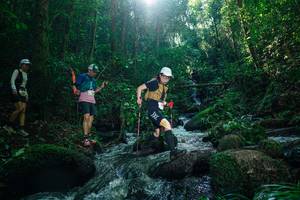 BIB: 
                            <button type="button" onclick="openModal(26780980)" class="btn btn-primary btn-sm float-right btn-popup" data-toggle="modal" data-target=".modal-high-quality">
                        <i class="fas fa-shopping-cart"></i> Add to Cart
                    </button>
                                            <button type="button" onclick="isThisMe(26780980, true)" class="btn btn-success btn-sm float-right btn-popup btn-isme hidden" data-toggle="tooltip" data-placement="bottom" title="นี่คือรูปของคุณใช่ไหม คลิกที่นี่เพื่อเอาเข้าอัลบั้ม">
                        <i class="fas fa-plus"></i> Add to album
                    </button>
                    <button type="button" onclick="isThisMe(26780980, false)" class="btn btn-warning btn-sm float-right btn-popup btn-isnotme hidden">
                        <i class="fas fa-ban"></i> Remove from album
                    </button>