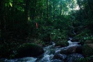 BIB: 
                            <button type="button" onclick="openModal(26778284)" class="btn btn-primary btn-sm float-right btn-popup" data-toggle="modal" data-target=".modal-high-quality">
                        <i class="fas fa-shopping-cart"></i> Add to Cart
                    </button>
                                            <button type="button" onclick="isThisMe(26778284, true)" class="btn btn-success btn-sm float-right btn-popup btn-isme hidden" data-toggle="tooltip" data-placement="bottom" title="นี่คือรูปของคุณใช่ไหม คลิกที่นี่เพื่อเอาเข้าอัลบั้ม">
                        <i class="fas fa-plus"></i> Add to album
                    </button>
                    <button type="button" onclick="isThisMe(26778284, false)" class="btn btn-warning btn-sm float-right btn-popup btn-isnotme hidden">
                        <i class="fas fa-ban"></i> Remove from album
                    </button>