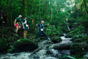 BIB: 
                            <button type="button" onclick="openModal(26780652)" class="btn btn-primary btn-sm float-right btn-popup" data-toggle="modal" data-target=".modal-high-quality">
                        <i class="fas fa-shopping-cart"></i> Add to Cart
                    </button>
                                            <button type="button" onclick="isThisMe(26780652, true)" class="btn btn-success btn-sm float-right btn-popup btn-isme hidden" data-toggle="tooltip" data-placement="bottom" title="นี่คือรูปของคุณใช่ไหม คลิกที่นี่เพื่อเอาเข้าอัลบั้ม">
                        <i class="fas fa-plus"></i> Add to album
                    </button>
                    <button type="button" onclick="isThisMe(26780652, false)" class="btn btn-warning btn-sm float-right btn-popup btn-isnotme hidden">
                        <i class="fas fa-ban"></i> Remove from album
                    </button>