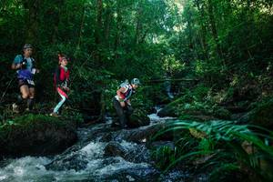 BIB: 
                            <button type="button" onclick="openModal(26772769)" class="btn btn-primary btn-sm float-right btn-popup" data-toggle="modal" data-target=".modal-high-quality">
                        <i class="fas fa-shopping-cart"></i> Add to Cart
                    </button>
                                            <button type="button" onclick="isThisMe(26772769, true)" class="btn btn-success btn-sm float-right btn-popup btn-isme hidden" data-toggle="tooltip" data-placement="bottom" title="นี่คือรูปของคุณใช่ไหม คลิกที่นี่เพื่อเอาเข้าอัลบั้ม">
                        <i class="fas fa-plus"></i> Add to album
                    </button>
                    <button type="button" onclick="isThisMe(26772769, false)" class="btn btn-warning btn-sm float-right btn-popup btn-isnotme hidden">
                        <i class="fas fa-ban"></i> Remove from album
                    </button>