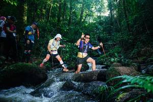 BIB: 
                            <button type="button" onclick="openModal(26778396)" class="btn btn-primary btn-sm float-right btn-popup" data-toggle="modal" data-target=".modal-high-quality">
                        <i class="fas fa-shopping-cart"></i> Add to Cart
                    </button>
                                            <button type="button" onclick="isThisMe(26778396, true)" class="btn btn-success btn-sm float-right btn-popup btn-isme hidden" data-toggle="tooltip" data-placement="bottom" title="นี่คือรูปของคุณใช่ไหม คลิกที่นี่เพื่อเอาเข้าอัลบั้ม">
                        <i class="fas fa-plus"></i> Add to album
                    </button>
                    <button type="button" onclick="isThisMe(26778396, false)" class="btn btn-warning btn-sm float-right btn-popup btn-isnotme hidden">
                        <i class="fas fa-ban"></i> Remove from album
                    </button>