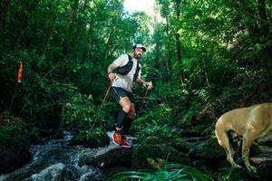 BIB: 
                            <button type="button" onclick="openModal(26756184)" class="btn btn-primary btn-sm float-right btn-popup" data-toggle="modal" data-target=".modal-high-quality">
                        <i class="fas fa-shopping-cart"></i> Add to Cart
                    </button>
                                            <button type="button" onclick="isThisMe(26756184, true)" class="btn btn-success btn-sm float-right btn-popup btn-isme hidden" data-toggle="tooltip" data-placement="bottom" title="นี่คือรูปของคุณใช่ไหม คลิกที่นี่เพื่อเอาเข้าอัลบั้ม">
                        <i class="fas fa-plus"></i> Add to album
                    </button>
                    <button type="button" onclick="isThisMe(26756184, false)" class="btn btn-warning btn-sm float-right btn-popup btn-isnotme hidden">
                        <i class="fas fa-ban"></i> Remove from album
                    </button>