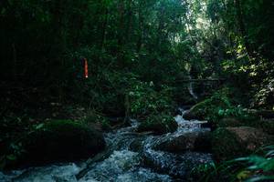 BIB: 
                            <button type="button" onclick="openModal(26775561)" class="btn btn-primary btn-sm float-right btn-popup" data-toggle="modal" data-target=".modal-high-quality">
                        <i class="fas fa-shopping-cart"></i> Add to Cart
                    </button>
                                            <button type="button" onclick="isThisMe(26775561, true)" class="btn btn-success btn-sm float-right btn-popup btn-isme hidden" data-toggle="tooltip" data-placement="bottom" title="นี่คือรูปของคุณใช่ไหม คลิกที่นี่เพื่อเอาเข้าอัลบั้ม">
                        <i class="fas fa-plus"></i> Add to album
                    </button>
                    <button type="button" onclick="isThisMe(26775561, false)" class="btn btn-warning btn-sm float-right btn-popup btn-isnotme hidden">
                        <i class="fas fa-ban"></i> Remove from album
                    </button>