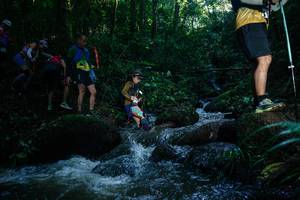 BIB: 
                            <button type="button" onclick="openModal(26778660)" class="btn btn-primary btn-sm float-right btn-popup" data-toggle="modal" data-target=".modal-high-quality">
                        <i class="fas fa-shopping-cart"></i> Add to Cart
                    </button>
                                            <button type="button" onclick="isThisMe(26778660, true)" class="btn btn-success btn-sm float-right btn-popup btn-isme hidden" data-toggle="tooltip" data-placement="bottom" title="นี่คือรูปของคุณใช่ไหม คลิกที่นี่เพื่อเอาเข้าอัลบั้ม">
                        <i class="fas fa-plus"></i> Add to album
                    </button>
                    <button type="button" onclick="isThisMe(26778660, false)" class="btn btn-warning btn-sm float-right btn-popup btn-isnotme hidden">
                        <i class="fas fa-ban"></i> Remove from album
                    </button>