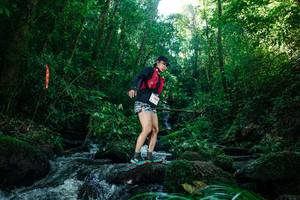 BIB: 
                            <button type="button" onclick="openModal(26774694)" class="btn btn-primary btn-sm float-right btn-popup" data-toggle="modal" data-target=".modal-high-quality">
                        <i class="fas fa-shopping-cart"></i> Add to Cart
                    </button>
                                            <button type="button" onclick="isThisMe(26774694, true)" class="btn btn-success btn-sm float-right btn-popup btn-isme hidden" data-toggle="tooltip" data-placement="bottom" title="นี่คือรูปของคุณใช่ไหม คลิกที่นี่เพื่อเอาเข้าอัลบั้ม">
                        <i class="fas fa-plus"></i> Add to album
                    </button>
                    <button type="button" onclick="isThisMe(26774694, false)" class="btn btn-warning btn-sm float-right btn-popup btn-isnotme hidden">
                        <i class="fas fa-ban"></i> Remove from album
                    </button>