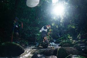 BIB: 
                            <button type="button" onclick="openModal(26775936)" class="btn btn-primary btn-sm float-right btn-popup" data-toggle="modal" data-target=".modal-high-quality">
                        <i class="fas fa-shopping-cart"></i> Add to Cart
                    </button>
                                            <button type="button" onclick="isThisMe(26775936, true)" class="btn btn-success btn-sm float-right btn-popup btn-isme hidden" data-toggle="tooltip" data-placement="bottom" title="นี่คือรูปของคุณใช่ไหม คลิกที่นี่เพื่อเอาเข้าอัลบั้ม">
                        <i class="fas fa-plus"></i> Add to album
                    </button>
                    <button type="button" onclick="isThisMe(26775936, false)" class="btn btn-warning btn-sm float-right btn-popup btn-isnotme hidden">
                        <i class="fas fa-ban"></i> Remove from album
                    </button>