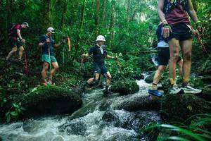 BIB: 
                            <button type="button" onclick="openModal(26780729)" class="btn btn-primary btn-sm float-right btn-popup" data-toggle="modal" data-target=".modal-high-quality">
                        <i class="fas fa-shopping-cart"></i> Add to Cart
                    </button>
                                            <button type="button" onclick="isThisMe(26780729, true)" class="btn btn-success btn-sm float-right btn-popup btn-isme hidden" data-toggle="tooltip" data-placement="bottom" title="นี่คือรูปของคุณใช่ไหม คลิกที่นี่เพื่อเอาเข้าอัลบั้ม">
                        <i class="fas fa-plus"></i> Add to album
                    </button>
                    <button type="button" onclick="isThisMe(26780729, false)" class="btn btn-warning btn-sm float-right btn-popup btn-isnotme hidden">
                        <i class="fas fa-ban"></i> Remove from album
                    </button>