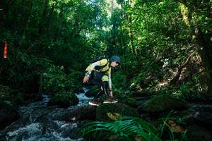 BIB: 
                            <button type="button" onclick="openModal(26699794)" class="btn btn-primary btn-sm float-right btn-popup" data-toggle="modal" data-target=".modal-high-quality">
                        <i class="fas fa-shopping-cart"></i> Add to Cart
                    </button>
                                            <button type="button" onclick="isThisMe(26699794, true)" class="btn btn-success btn-sm float-right btn-popup btn-isme hidden" data-toggle="tooltip" data-placement="bottom" title="นี่คือรูปของคุณใช่ไหม คลิกที่นี่เพื่อเอาเข้าอัลบั้ม">
                        <i class="fas fa-plus"></i> Add to album
                    </button>
                    <button type="button" onclick="isThisMe(26699794, false)" class="btn btn-warning btn-sm float-right btn-popup btn-isnotme hidden">
                        <i class="fas fa-ban"></i> Remove from album
                    </button>