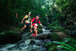 BIB: 
                            <button type="button" onclick="openModal(26781300)" class="btn btn-primary btn-sm float-right btn-popup" data-toggle="modal" data-target=".modal-high-quality">
                        <i class="fas fa-shopping-cart"></i> Add to Cart
                    </button>
                                            <button type="button" onclick="isThisMe(26781300, true)" class="btn btn-success btn-sm float-right btn-popup btn-isme hidden" data-toggle="tooltip" data-placement="bottom" title="นี่คือรูปของคุณใช่ไหม คลิกที่นี่เพื่อเอาเข้าอัลบั้ม">
                        <i class="fas fa-plus"></i> Add to album
                    </button>
                    <button type="button" onclick="isThisMe(26781300, false)" class="btn btn-warning btn-sm float-right btn-popup btn-isnotme hidden">
                        <i class="fas fa-ban"></i> Remove from album
                    </button>