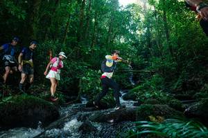 BIB: 
                            <button type="button" onclick="openModal(26774408)" class="btn btn-primary btn-sm float-right btn-popup" data-toggle="modal" data-target=".modal-high-quality">
                        <i class="fas fa-shopping-cart"></i> Add to Cart
                    </button>
                                            <button type="button" onclick="isThisMe(26774408, true)" class="btn btn-success btn-sm float-right btn-popup btn-isme hidden" data-toggle="tooltip" data-placement="bottom" title="นี่คือรูปของคุณใช่ไหม คลิกที่นี่เพื่อเอาเข้าอัลบั้ม">
                        <i class="fas fa-plus"></i> Add to album
                    </button>
                    <button type="button" onclick="isThisMe(26774408, false)" class="btn btn-warning btn-sm float-right btn-popup btn-isnotme hidden">
                        <i class="fas fa-ban"></i> Remove from album
                    </button>