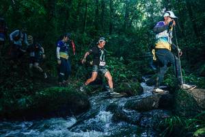 BIB: 
                            <button type="button" onclick="openModal(26779885)" class="btn btn-primary btn-sm float-right btn-popup" data-toggle="modal" data-target=".modal-high-quality">
                        <i class="fas fa-shopping-cart"></i> Add to Cart
                    </button>
                                            <button type="button" onclick="isThisMe(26779885, true)" class="btn btn-success btn-sm float-right btn-popup btn-isme hidden" data-toggle="tooltip" data-placement="bottom" title="นี่คือรูปของคุณใช่ไหม คลิกที่นี่เพื่อเอาเข้าอัลบั้ม">
                        <i class="fas fa-plus"></i> Add to album
                    </button>
                    <button type="button" onclick="isThisMe(26779885, false)" class="btn btn-warning btn-sm float-right btn-popup btn-isnotme hidden">
                        <i class="fas fa-ban"></i> Remove from album
                    </button>