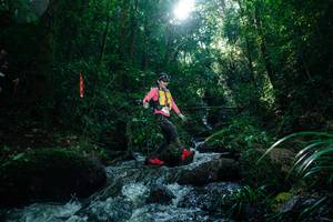 BIB: 
                            <button type="button" onclick="openModal(26775084)" class="btn btn-primary btn-sm float-right btn-popup" data-toggle="modal" data-target=".modal-high-quality">
                        <i class="fas fa-shopping-cart"></i> Add to Cart
                    </button>
                                            <button type="button" onclick="isThisMe(26775084, true)" class="btn btn-success btn-sm float-right btn-popup btn-isme hidden" data-toggle="tooltip" data-placement="bottom" title="นี่คือรูปของคุณใช่ไหม คลิกที่นี่เพื่อเอาเข้าอัลบั้ม">
                        <i class="fas fa-plus"></i> Add to album
                    </button>
                    <button type="button" onclick="isThisMe(26775084, false)" class="btn btn-warning btn-sm float-right btn-popup btn-isnotme hidden">
                        <i class="fas fa-ban"></i> Remove from album
                    </button>