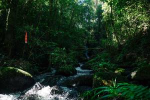 BIB: 
                            <button type="button" onclick="openModal(26696925)" class="btn btn-primary btn-sm float-right btn-popup" data-toggle="modal" data-target=".modal-high-quality">
                        <i class="fas fa-shopping-cart"></i> Add to Cart
                    </button>
                                            <button type="button" onclick="isThisMe(26696925, true)" class="btn btn-success btn-sm float-right btn-popup btn-isme hidden" data-toggle="tooltip" data-placement="bottom" title="นี่คือรูปของคุณใช่ไหม คลิกที่นี่เพื่อเอาเข้าอัลบั้ม">
                        <i class="fas fa-plus"></i> Add to album
                    </button>
                    <button type="button" onclick="isThisMe(26696925, false)" class="btn btn-warning btn-sm float-right btn-popup btn-isnotme hidden">
                        <i class="fas fa-ban"></i> Remove from album
                    </button>