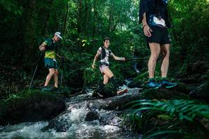 BIB: 
                            <button type="button" onclick="openModal(26773745)" class="btn btn-primary btn-sm float-right btn-popup" data-toggle="modal" data-target=".modal-high-quality">
                        <i class="fas fa-shopping-cart"></i> Add to Cart
                    </button>
                                            <button type="button" onclick="isThisMe(26773745, true)" class="btn btn-success btn-sm float-right btn-popup btn-isme hidden" data-toggle="tooltip" data-placement="bottom" title="นี่คือรูปของคุณใช่ไหม คลิกที่นี่เพื่อเอาเข้าอัลบั้ม">
                        <i class="fas fa-plus"></i> Add to album
                    </button>
                    <button type="button" onclick="isThisMe(26773745, false)" class="btn btn-warning btn-sm float-right btn-popup btn-isnotme hidden">
                        <i class="fas fa-ban"></i> Remove from album
                    </button>