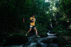 BIB: 
                            <button type="button" onclick="openModal(26775533)" class="btn btn-primary btn-sm float-right btn-popup" data-toggle="modal" data-target=".modal-high-quality">
                        <i class="fas fa-shopping-cart"></i> Add to Cart
                    </button>
                                            <button type="button" onclick="isThisMe(26775533, true)" class="btn btn-success btn-sm float-right btn-popup btn-isme hidden" data-toggle="tooltip" data-placement="bottom" title="นี่คือรูปของคุณใช่ไหม คลิกที่นี่เพื่อเอาเข้าอัลบั้ม">
                        <i class="fas fa-plus"></i> Add to album
                    </button>
                    <button type="button" onclick="isThisMe(26775533, false)" class="btn btn-warning btn-sm float-right btn-popup btn-isnotme hidden">
                        <i class="fas fa-ban"></i> Remove from album
                    </button>