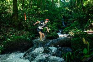 BIB: 
                            <button type="button" onclick="openModal(26695418)" class="btn btn-primary btn-sm float-right btn-popup" data-toggle="modal" data-target=".modal-high-quality">
                        <i class="fas fa-shopping-cart"></i> Add to Cart
                    </button>
                                            <button type="button" onclick="isThisMe(26695418, true)" class="btn btn-success btn-sm float-right btn-popup btn-isme hidden" data-toggle="tooltip" data-placement="bottom" title="นี่คือรูปของคุณใช่ไหม คลิกที่นี่เพื่อเอาเข้าอัลบั้ม">
                        <i class="fas fa-plus"></i> Add to album
                    </button>
                    <button type="button" onclick="isThisMe(26695418, false)" class="btn btn-warning btn-sm float-right btn-popup btn-isnotme hidden">
                        <i class="fas fa-ban"></i> Remove from album
                    </button>