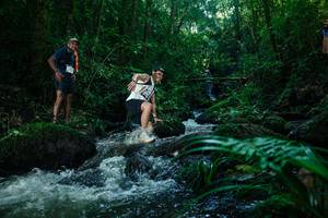 BIB: 
                            <button type="button" onclick="openModal(26774205)" class="btn btn-primary btn-sm float-right btn-popup" data-toggle="modal" data-target=".modal-high-quality">
                        <i class="fas fa-shopping-cart"></i> Add to Cart
                    </button>
                                            <button type="button" onclick="isThisMe(26774205, true)" class="btn btn-success btn-sm float-right btn-popup btn-isme hidden" data-toggle="tooltip" data-placement="bottom" title="นี่คือรูปของคุณใช่ไหม คลิกที่นี่เพื่อเอาเข้าอัลบั้ม">
                        <i class="fas fa-plus"></i> Add to album
                    </button>
                    <button type="button" onclick="isThisMe(26774205, false)" class="btn btn-warning btn-sm float-right btn-popup btn-isnotme hidden">
                        <i class="fas fa-ban"></i> Remove from album
                    </button>